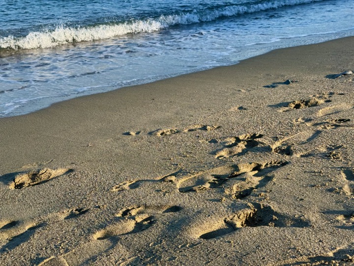 Footprints in golden sand at the edge of a blue sea.