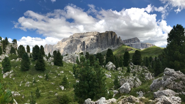 Alpine meadow with pines below a massive rock wall and white clouds.